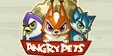 Angry Pets