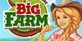   BigFarm