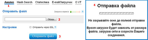 Проверить файл на вирусы онлайн Проверить файл на вирусы онлайн